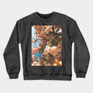 Spring Bloom, III Crewneck Sweatshirt